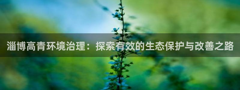 凯发k8国际首页登录：淄博高青环境治理：