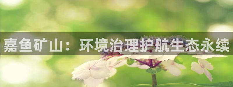 凯发k8国际唯一|嘉鱼矿山：环境治理护航生态永续