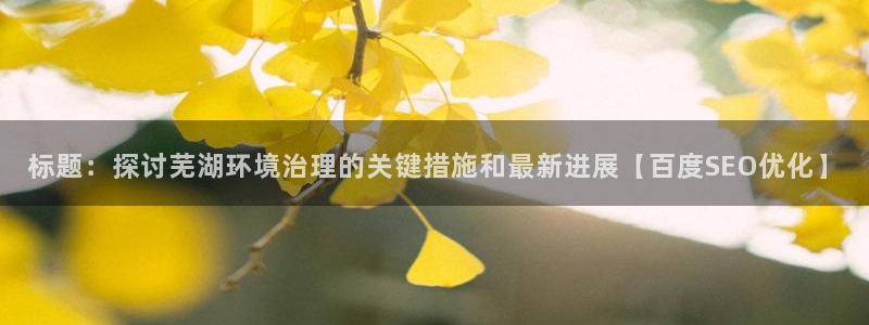 凯发k8国际首页登录|标题：探讨芜湖环境治理的关键措施和最新进展【百度SEO优化