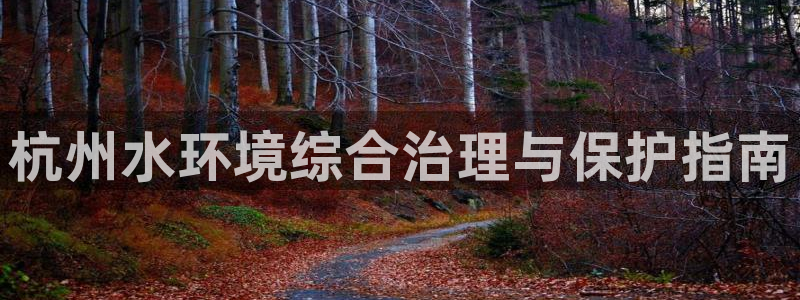 凯发k8国际(中国)官方网站·一触即发|杭州水环境综合治理与保护指南