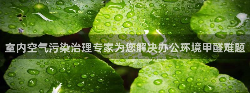天生赢家K8|室内空气污染治理专家为您解决办公环境甲醛难题