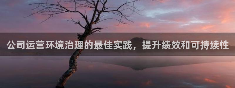 凯发k8国际首页登录|公司运营环境治理的最佳实践，提升绩效和可持续性