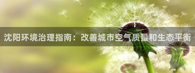 凯发k8官网登录vip|沈阳环境治理指南：改善城市空气质量和生态平衡