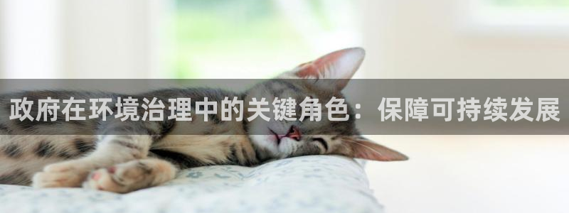 凯发网娱乐官网登录|政府在环境治理中的关键角色：保障可持续发展
