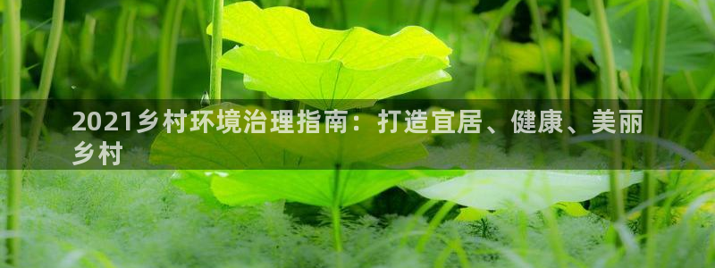 凯发官网首页|2021乡村环境治理指南：打造宜居、健康、美丽
乡村