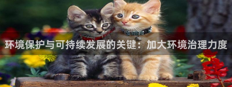 凯发k8国际唯一|环境保护与可持续发展的关键：加大环境治理力度