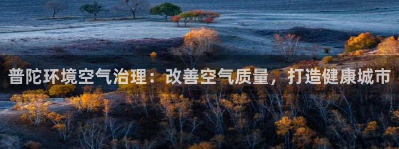 凯发网娱乐官网登录|普陀环境空气治理：改