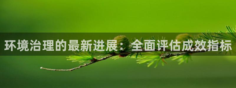凯发k8官方旗舰店app|环境治理的最新进展：全面评估成效指标